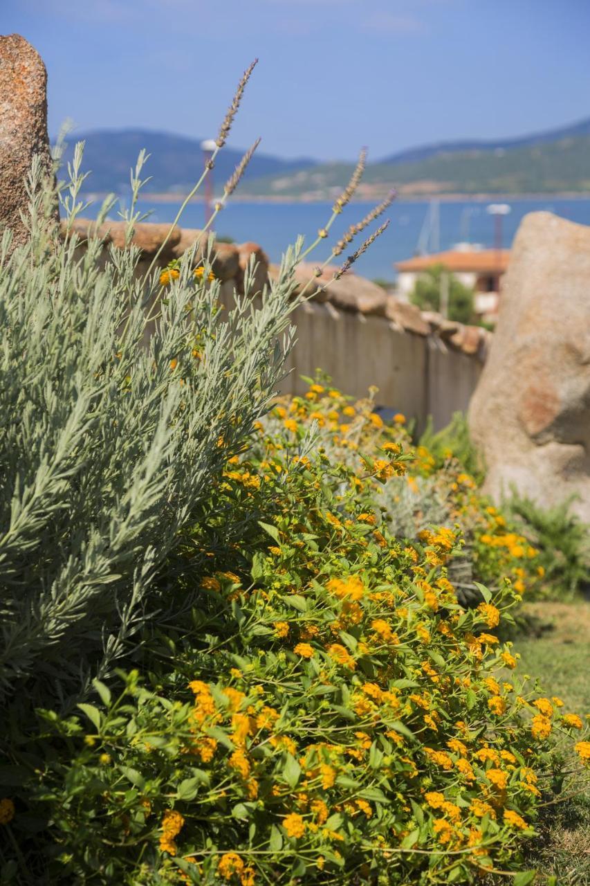 Le Maree Apartments Cannigione Exterior foto